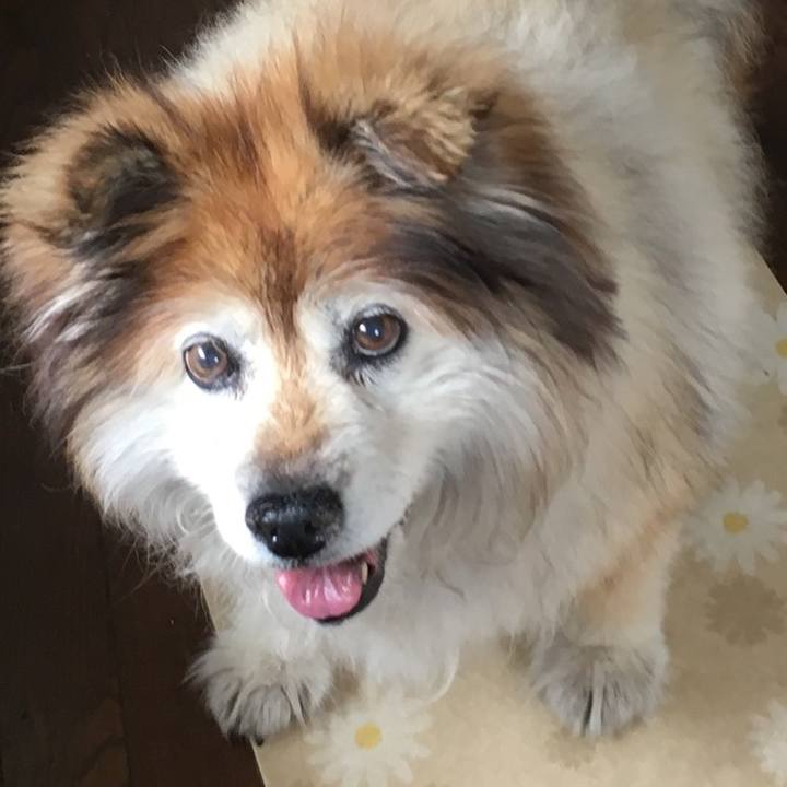 Ab7a08ca f7f8 4093 8d6a 90496e87516a 1589074430611