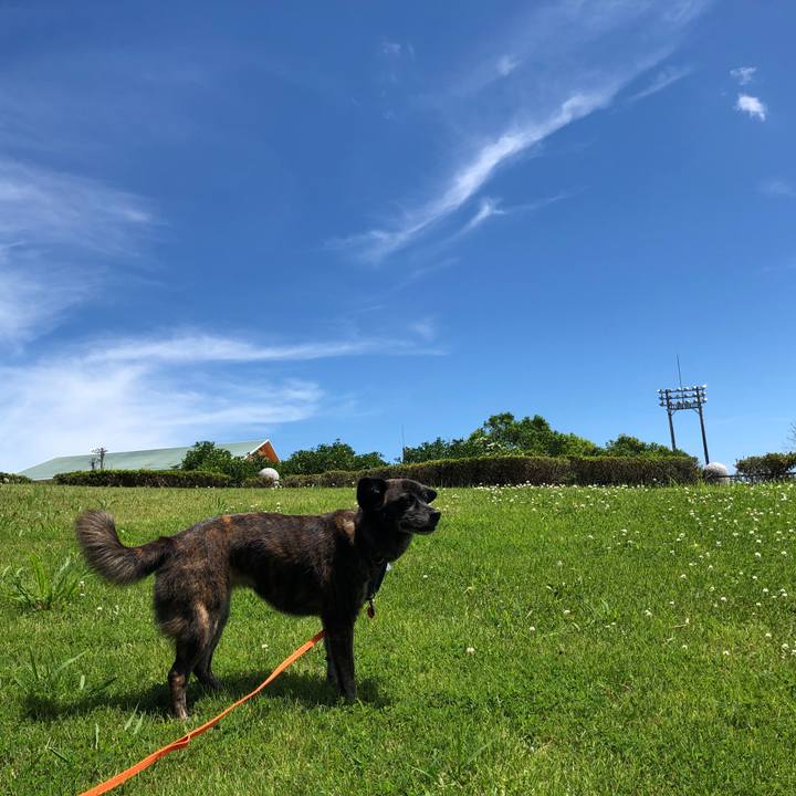 Ab7a50ae ac4f 43b0 bf40 3a38bde087fa 1565587757011