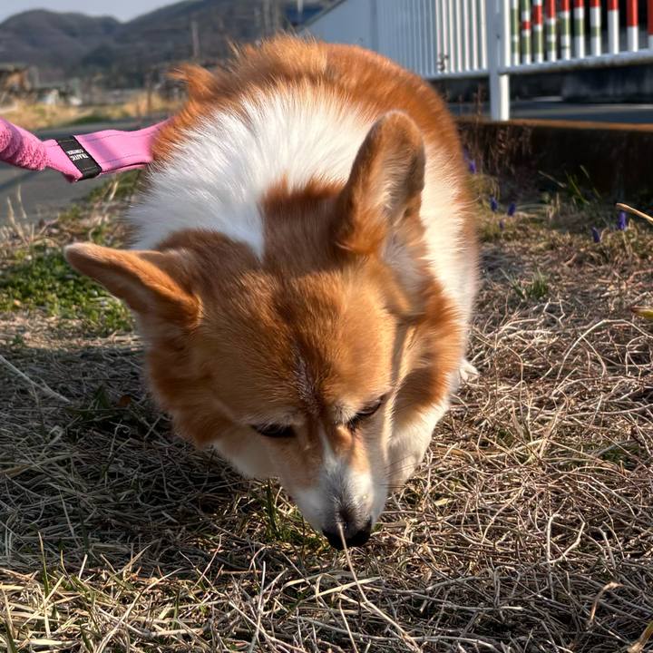 Ab7af85d e337 4a19 8b7d 3b4b19f5a51d 1742692347227