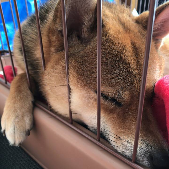 Ab7afc7d e06e 40ca beb0 fad7e25f2812 1528931202890