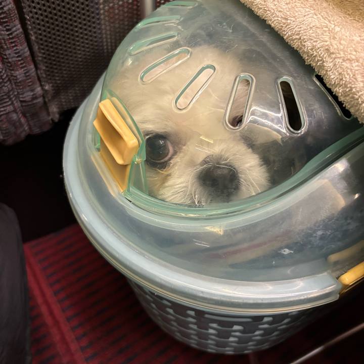 Ab7b2bb5 c8dd 424d 9a95 4c05c91fd132 1763082069331