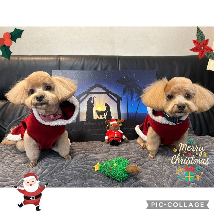 Ab7b338c 77ed 4b12 ac5d 379d1d7134af 1734878971354