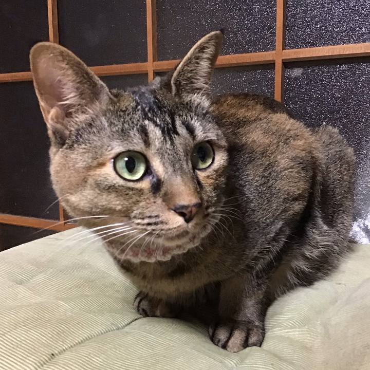 Ab7b3fe1 ef2f 43ed 9161 6ff9826d5a14 1660830151554