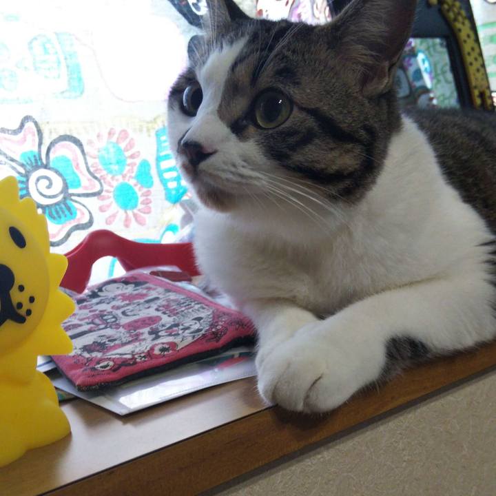 Ab7b63d4 71f6 4c5a ab97 6dca1aefd932 1626906777167