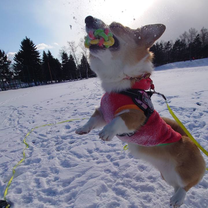 Ab7b87bc 5c34 4e37 ad81 9ab58ea49ac6 1767160806451