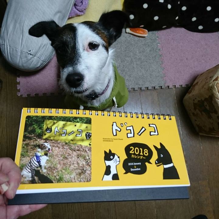 Ab7bbd7d 0075 4f34 aee5 3864bb57bc00 1510916490399