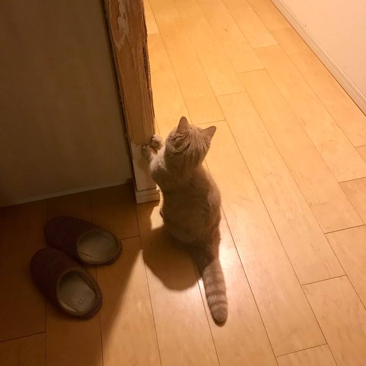 Ab7bc929 3a12 49bb bb65 d729fb948f90 1551790933953