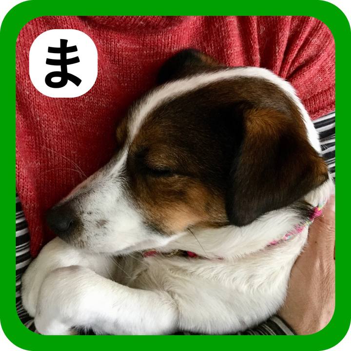 Ab7bef0f 1196 43b6 ad56 0e152fd44a07 1514868065670