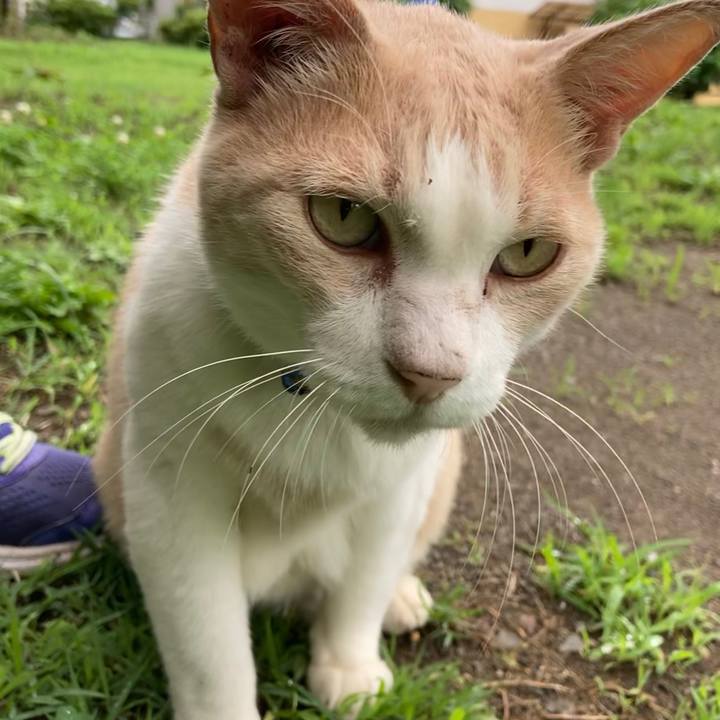 Ab7c1332 298d 494c 981a b29dff0a5f97 1594282080349