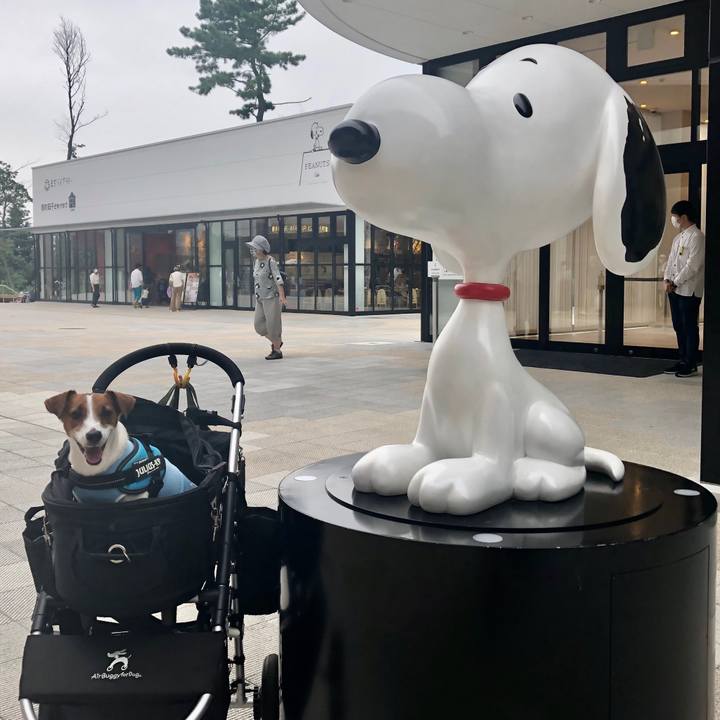 Ab7c322f 77ae 4884 bccf 793e2cb38d04 1599989331343