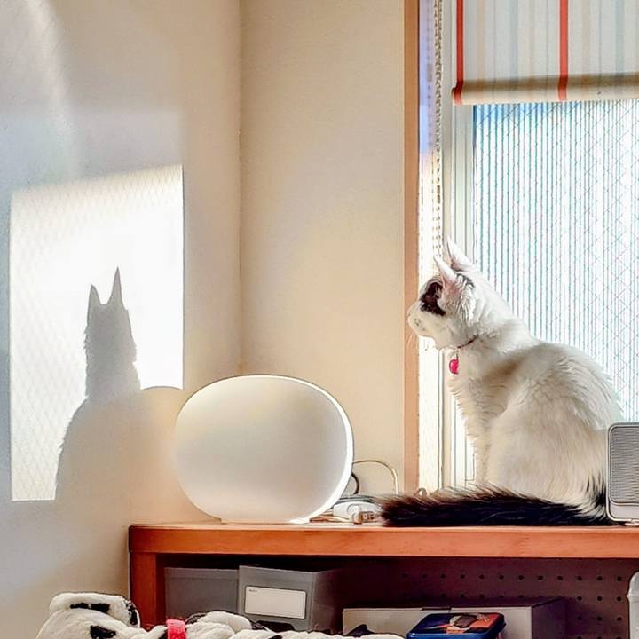 Ab7cb6a9 9371 48c7 8140 339b71c5e361 1764917081901