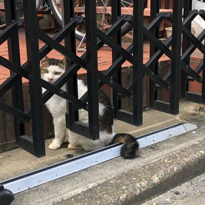 Ab7cda86 eddd 41e0 9063 df098e094a47 1599977693620