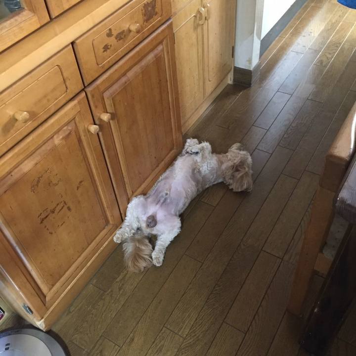 Ab7cdee1 392d 455d aaf8 cc3229cff4ff 1531833561808