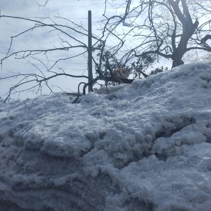 Ab7cfd4b e8d0 4f7e a064 f14dea9aa4d9 1741056326466