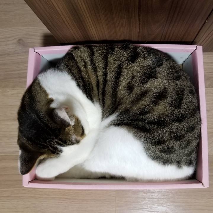 Ab7d0635 2b33 4205 81c8 52f787903379 1601869334538