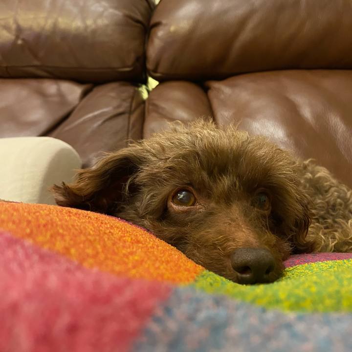 Ab7d3796 2de0 4741 b776 bfbbe73eb556 1728898842510