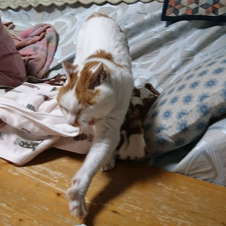 Ab7d3dc8 5f6c 44f6 8455 265ffa652300 1525666628964