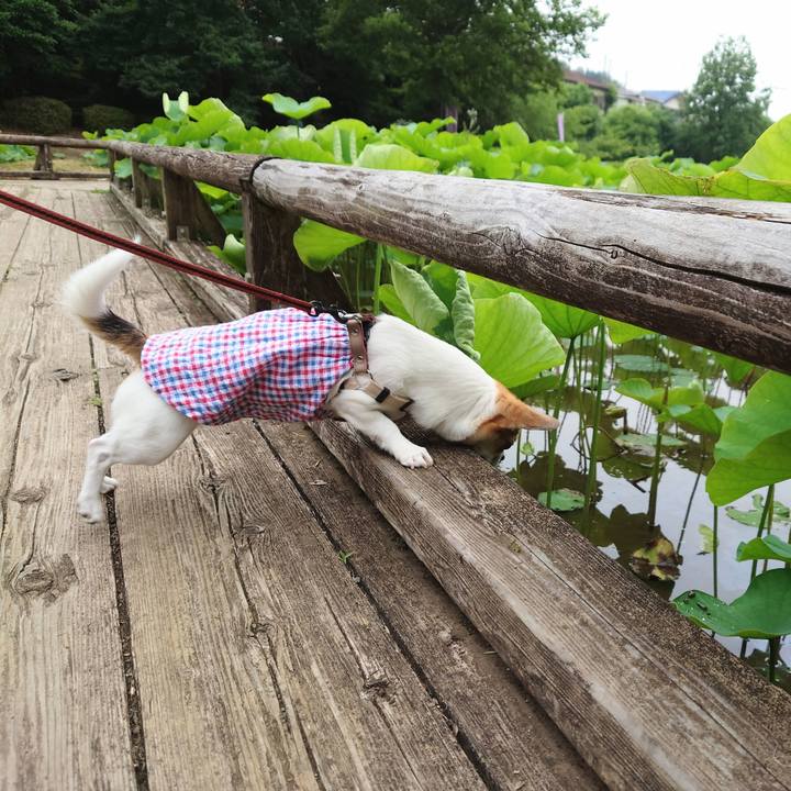 Ab7d405a 891f 4e60 9962 52a934daae36 1655598524968