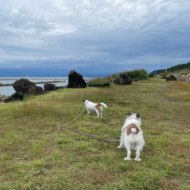 Ab7d5a17 d0b0 4397 97be 566e20383b02 1760225101823