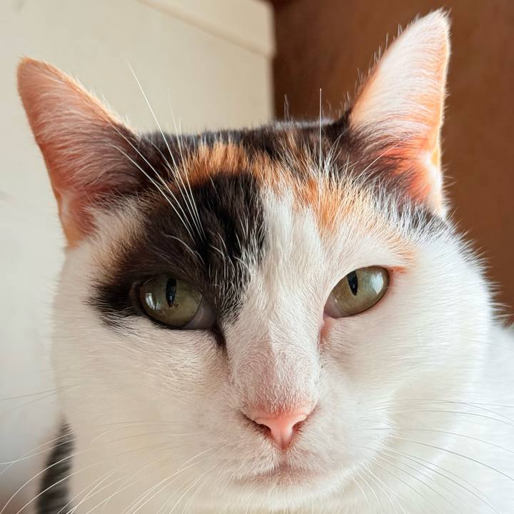 Ab7d61c4 4253 4704 995a 7ba6677b7cca 1735948927148