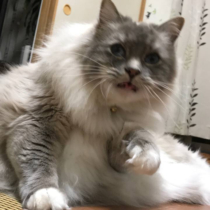 Ab7d81ab 9461 4fb6 a27c e2497cebb07f 1523970264906