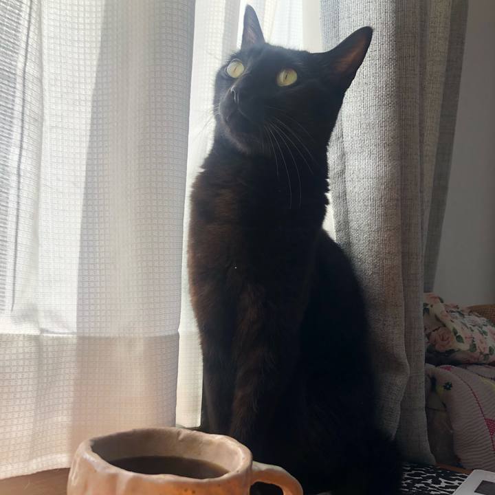 Ab7d86d8 5479 422a 8302 3112b565a515 1648686989489