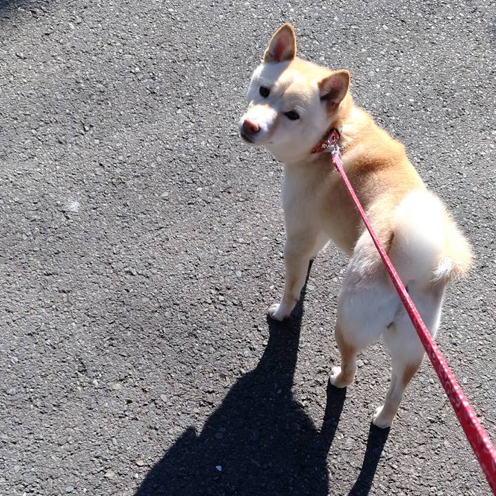 Ab7d9cbf 5d84 402d a30d 831f1572888e 1518588267423