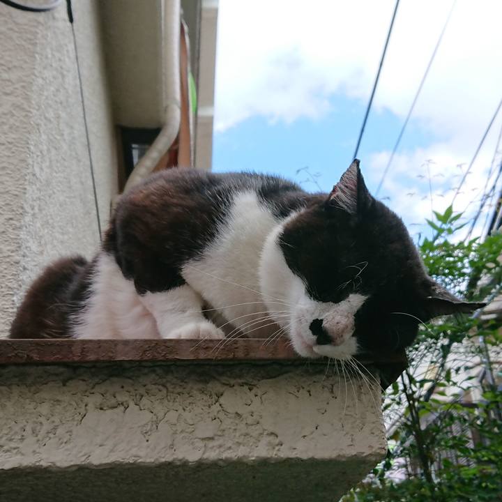 Ab7db823 734b 4200 bbfc 7048a17feb05 1538887842509