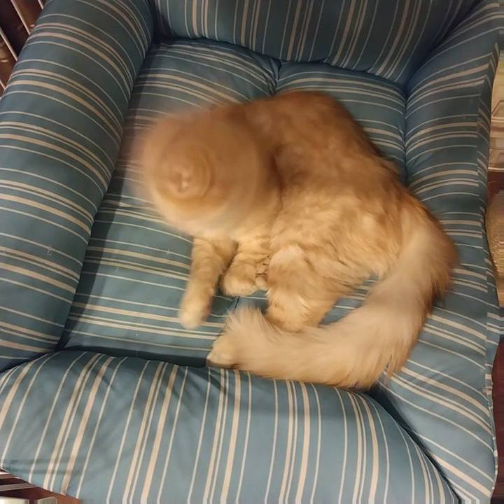 Ab7df393 def1 4e45 b684 945aed983295 1610701992768