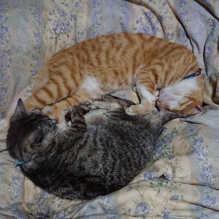 Ab7df61a bf8d 4c24 890e 28e522b4f9d7 1563718743557