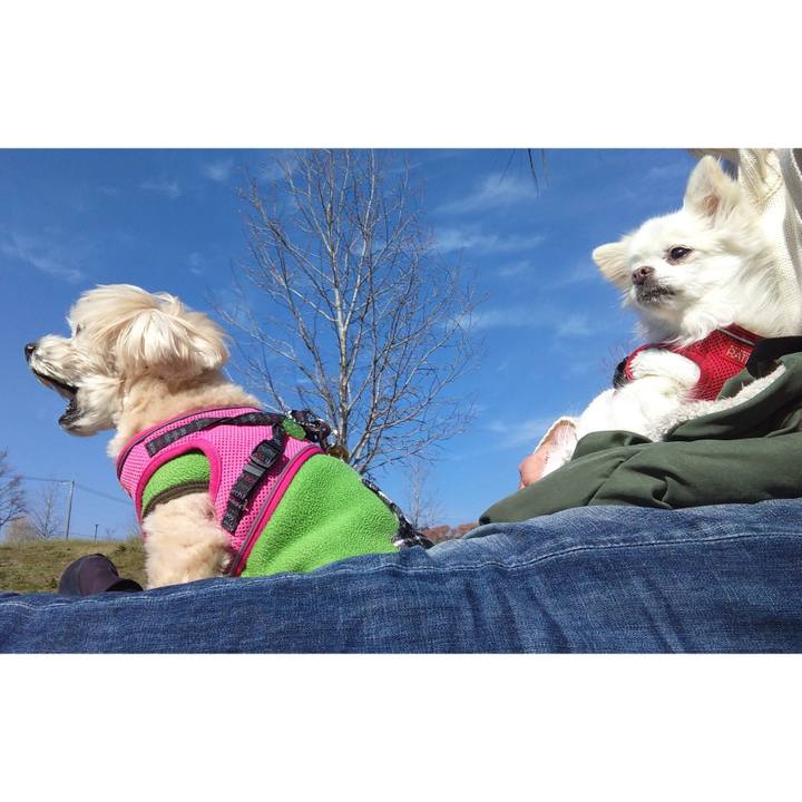 Ab7e12e9 e5d5 42b1 8bd1 3944a39f3fcf 1649075517917