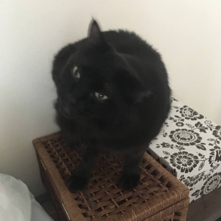 Ab7e24ee e4f5 49bc 9e73 d1c42293eaf9 1536970082376