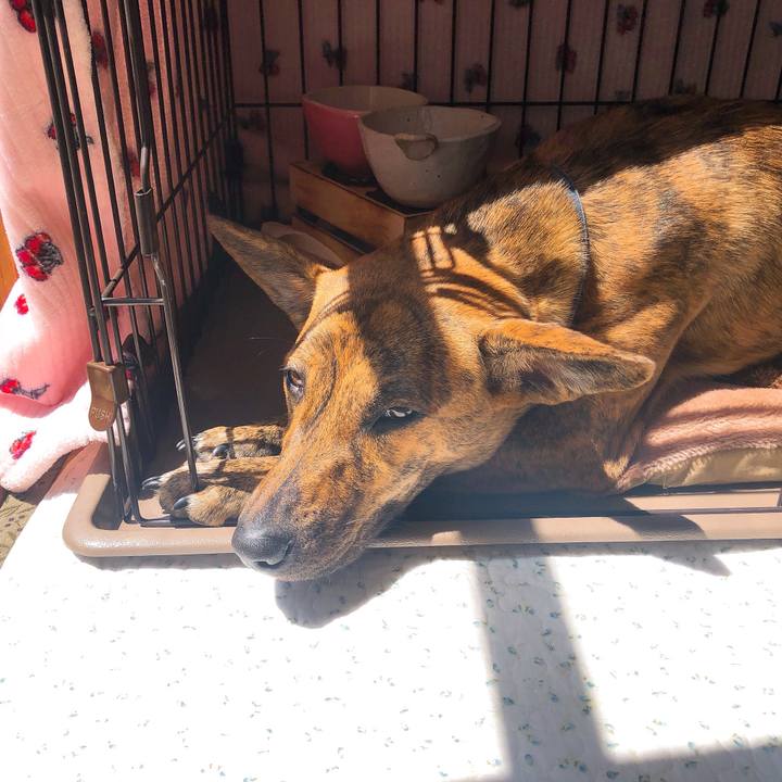 Ab7e3c45 cec9 4d27 929c 4a332a114b4a 1587379053463