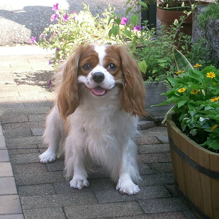 Ab7e4158 045d 432d bb2a 8d6b83d3112e 1511057358687