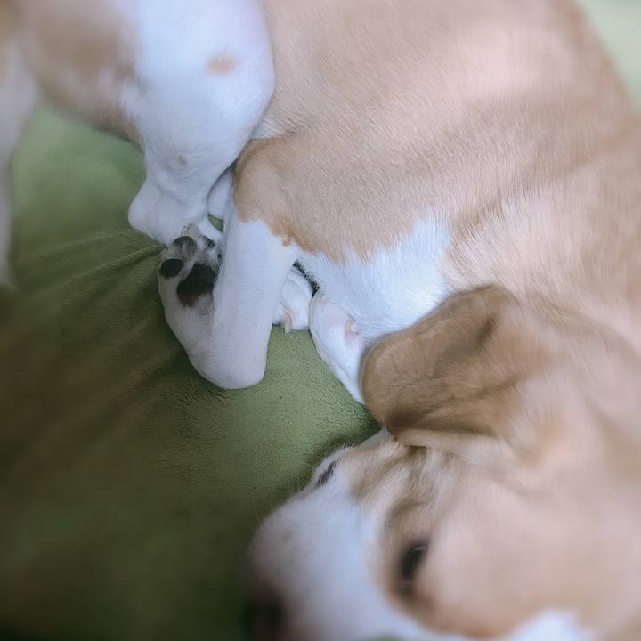 Ab7e4ee5 91b8 4611 b1c7 ce5404954f07 1566914601270