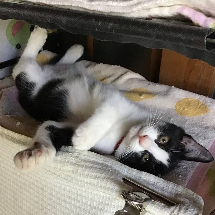 Ab7e8044 3d72 4495 bc01 a31906b42279 1626926255315