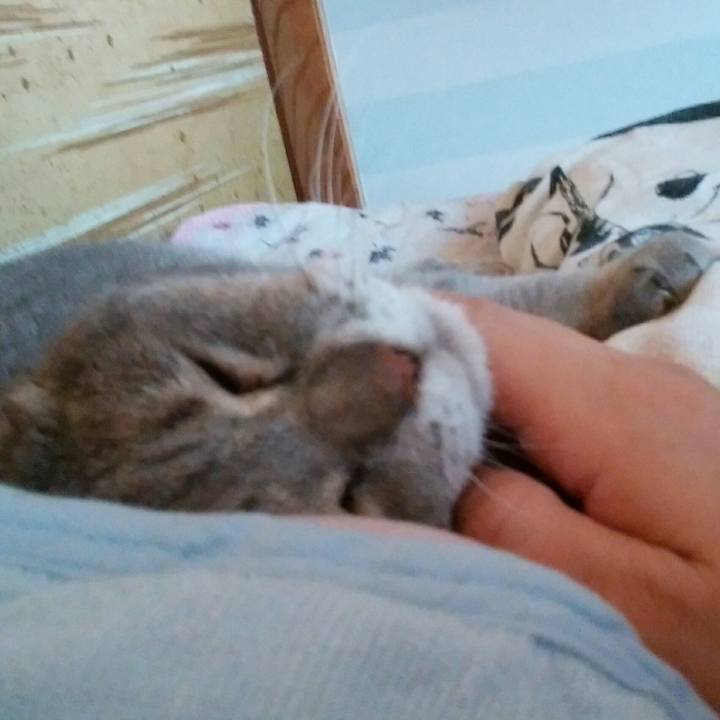 Ab7e91d6 16da 4aca 9fef 6912068207a1 1597533366200