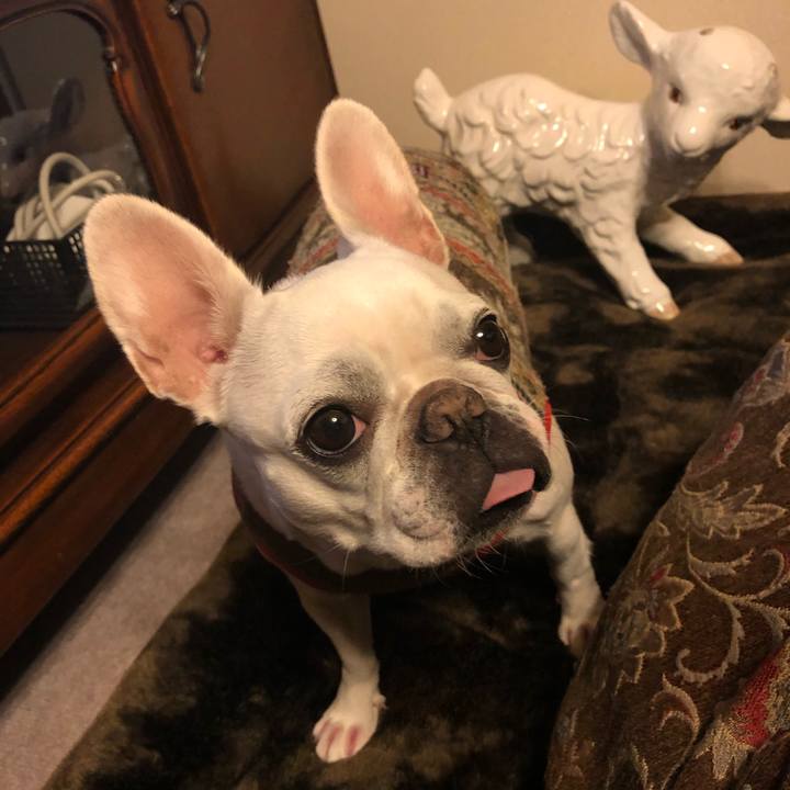 Ab7ec4c8 4e13 4002 9a40 0c84edd4c1e9 1574253714532