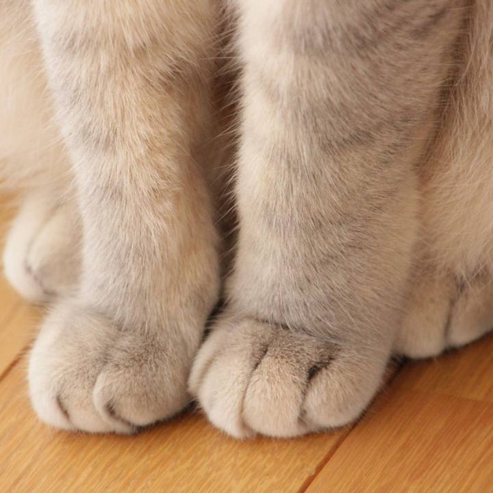 Ab7f0a25 b76b 4a03 ab26 6276eba04ce0 1572879595533