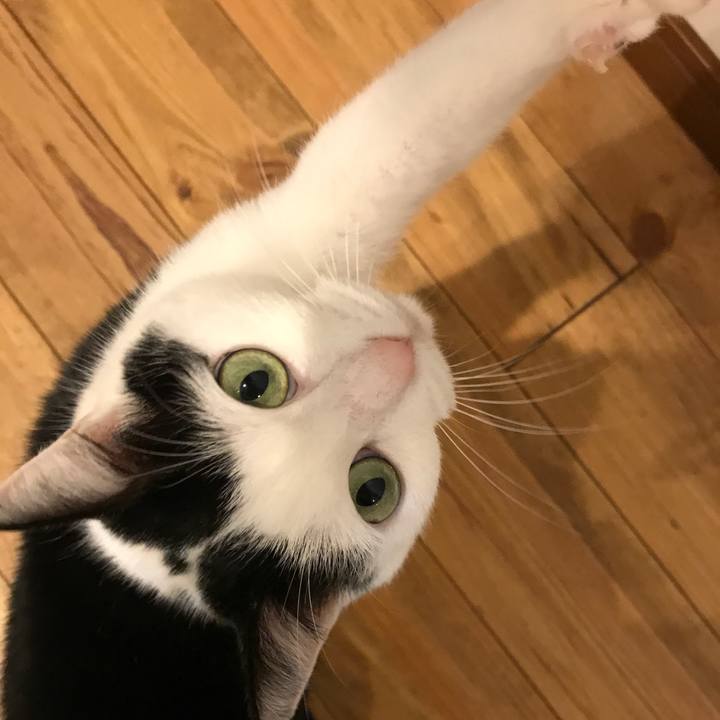 Ab7f1148 9506 46ce 8273 10f69989c591 1550491614219