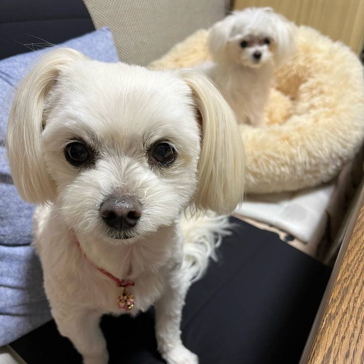 Ab7f8141 82e9 4f3a 94fc 16a8e899f67e 1713433904900