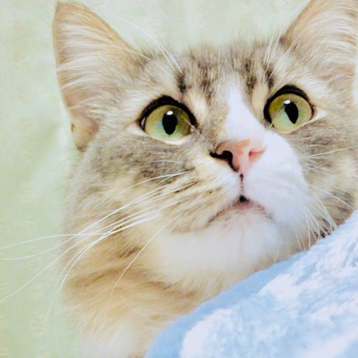 Ab7f895c e4fb 48f5 b90e bb29d803460b 1566582138553