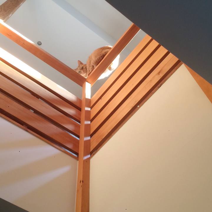 Ab7fa86e 4b3e 4537 85b2 3918169c4d55 1581026923646