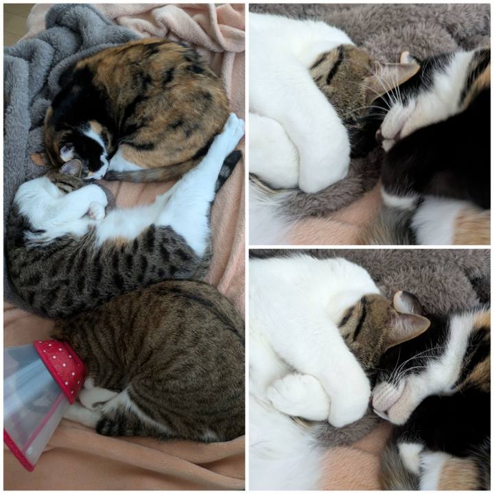 Ab7fb135 42eb 43fe b4f1 b2679772f037 1766386453988