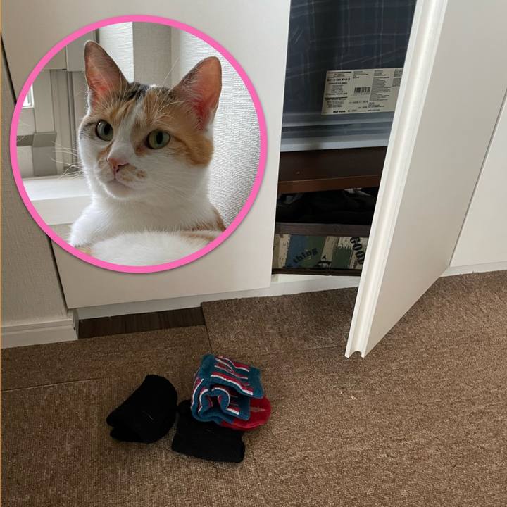 Ab7fe7b1 8db9 469a 9d12 feabd68a5420 1662184903258