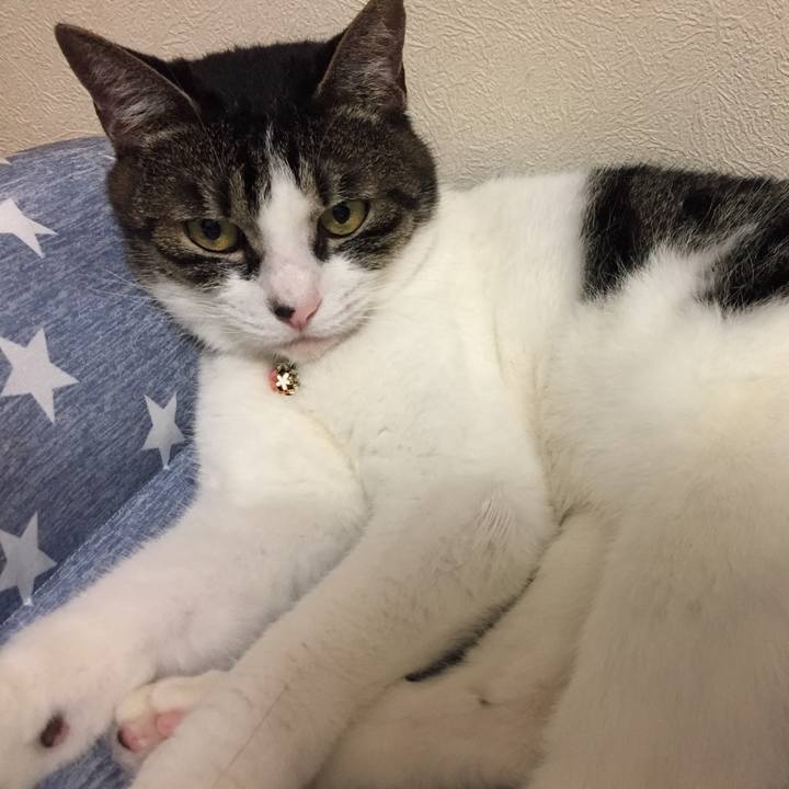 Ab7ff1f8 f593 4d83 8f8a a94a019c73a1 1527945075096