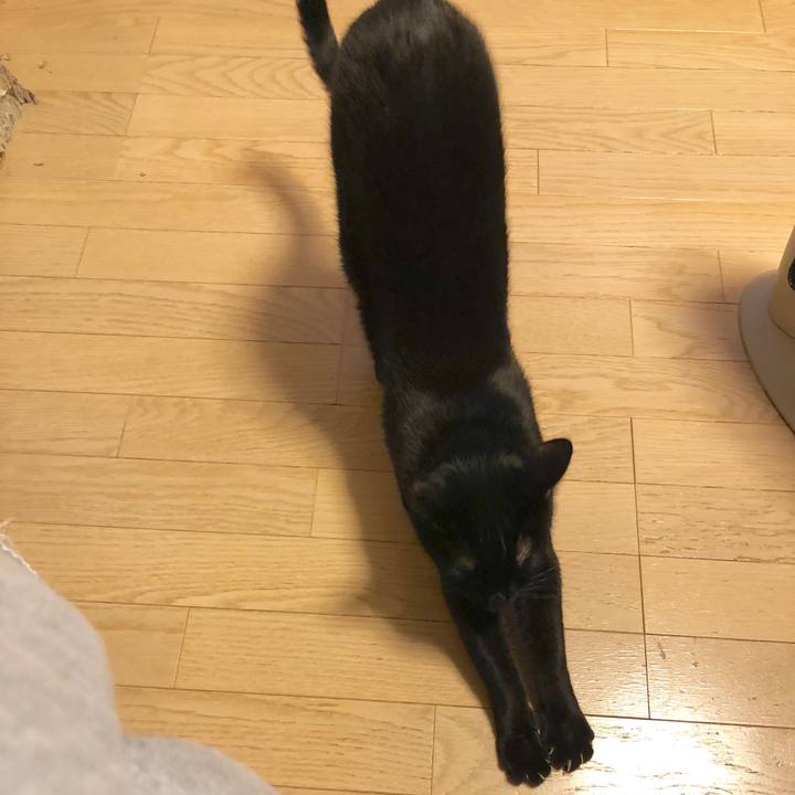 Ab8001ef 336b 4ccc 9771 1c9bbc8c2ac1 1580474172711