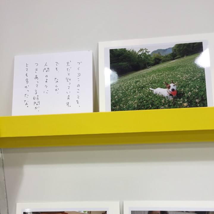 Ab801eb8 dde4 48ce 83b5 730a99832d49 1590661674419