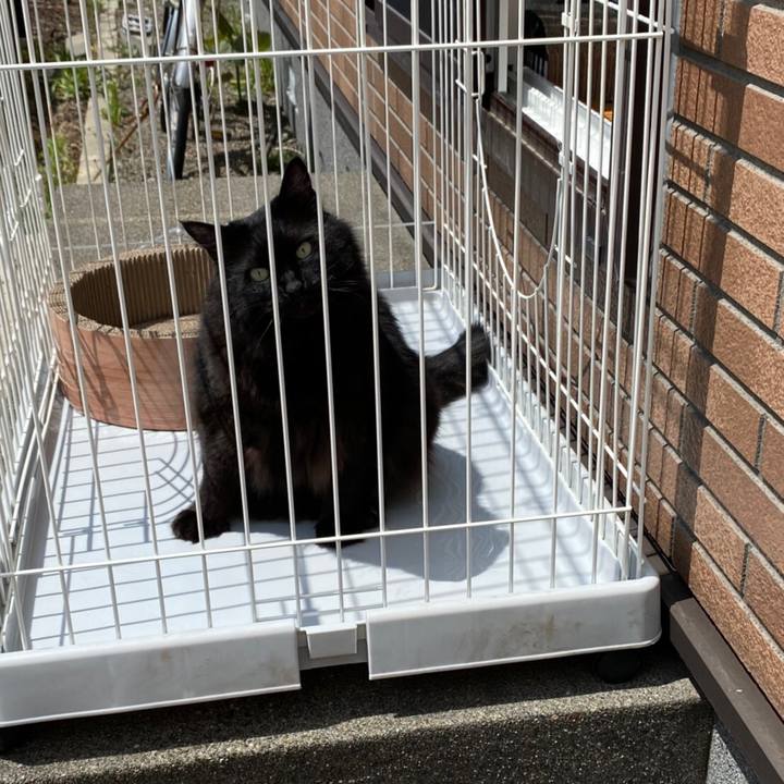 Ab802a26 7c9d 4361 b2ba db32145a61ac 1589710619422