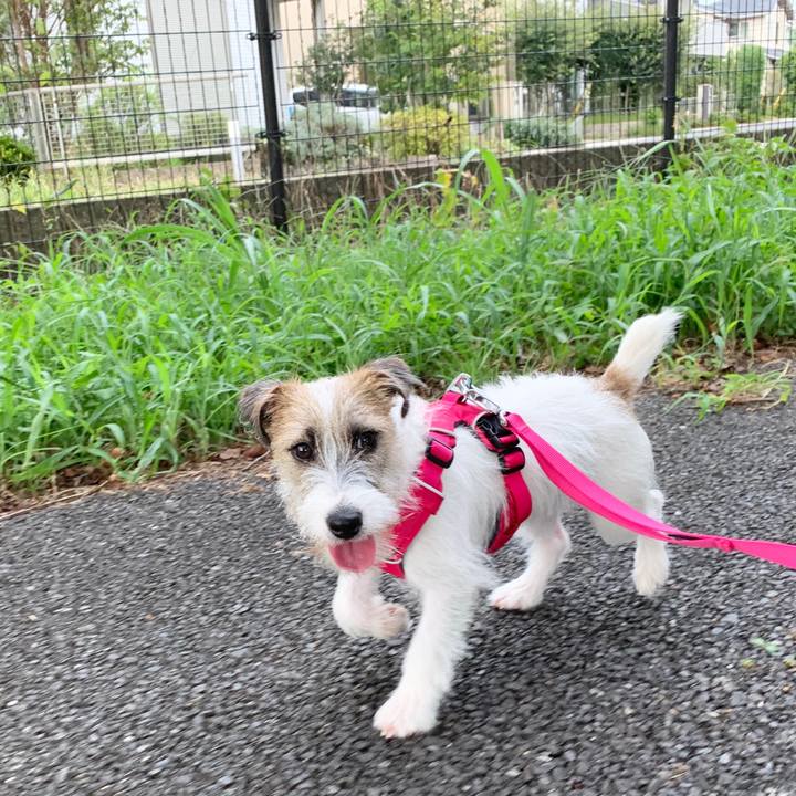 Ab804736 11f1 422a bbf8 cbeefa823683 1568357240043